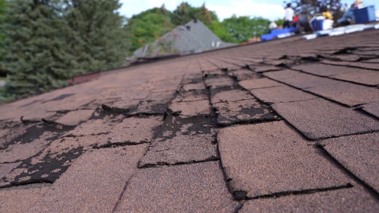 Best Gutter Installation and Repair  in Moreland Hills, OH